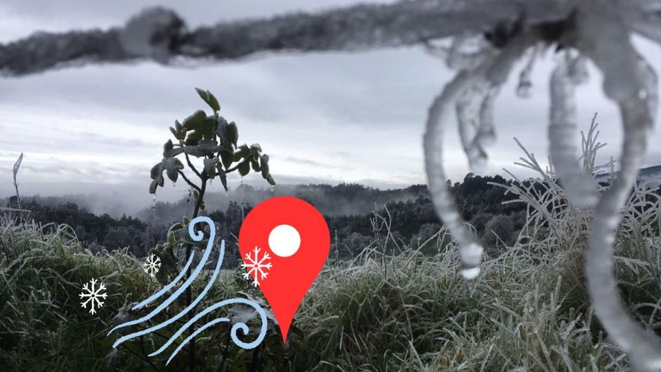 IMAGEN ILUSTRATIVA DE HELADA EN VERACRUZ