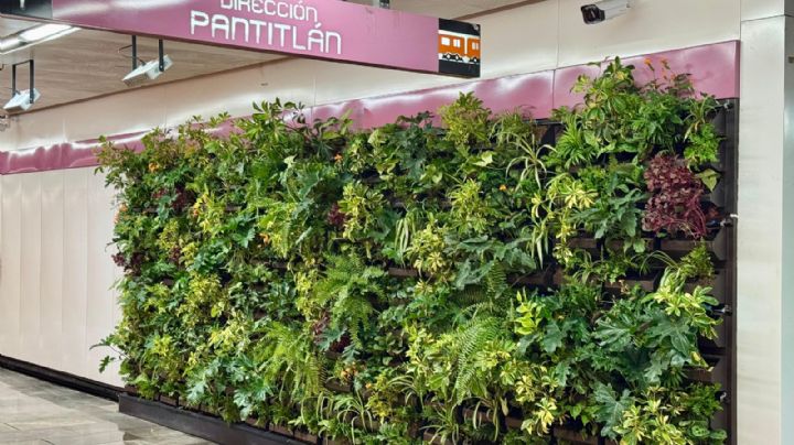 Es oficial: Línea 1 Metro CDMX volverá al servicio completo hasta Observatorio, en noviembre