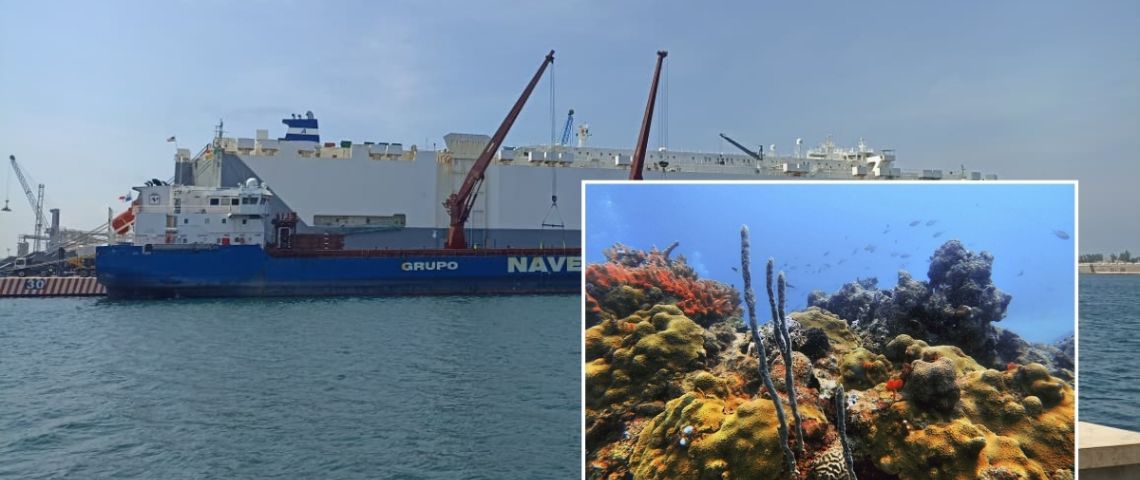 Ampliación del puerto de Veracruz, entre el desarrollo y la devastación de arrecifes