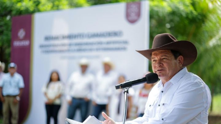 Yucatán frena avance del gusano barrenador con 90% de éxito: gobernador