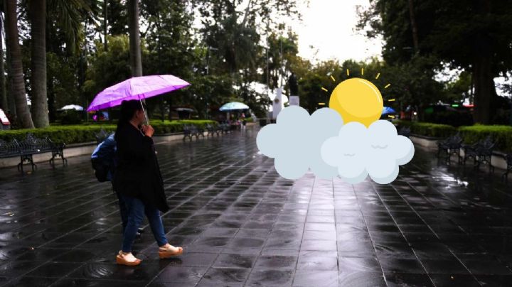 ¿Cómo estará el clima en Xalapa este lunes 3 de noviembre?