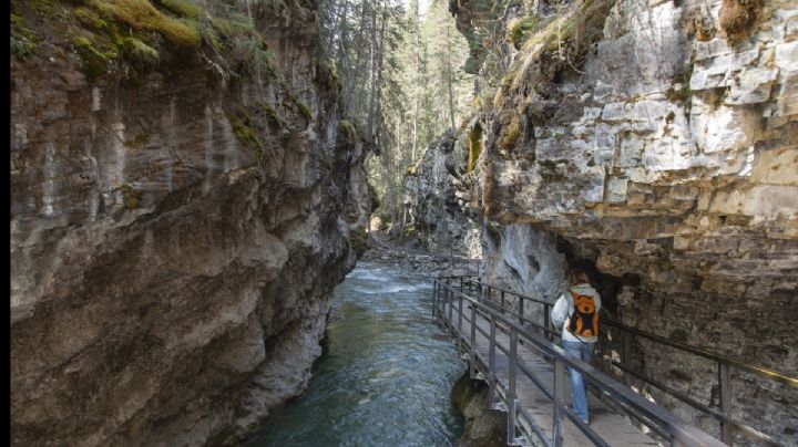 Tres lugares en México para practicar la fotografía ambiental, otra forma de hacer cociencia ecológica