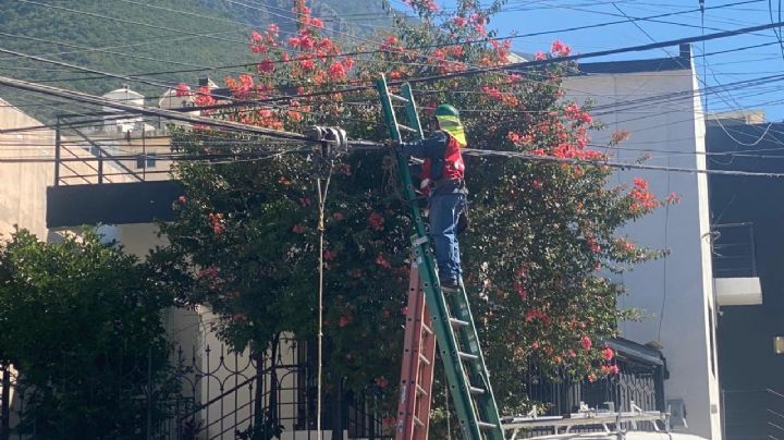 Avanza limpieza de cableado en Monterrey