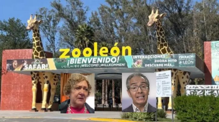 Con lágrimas, la presidenta del Zoológico confirma la renuncia del director tras escándalos