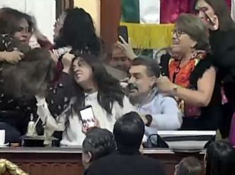 With hair-pulling and elbowing, women lawmakers brawl in “mini-Congress”