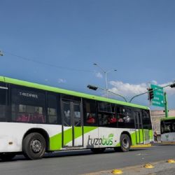 Tuzobús tendrá 80 nuevas unidades; más de la mitad irán para la ruta troncal
