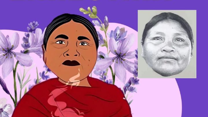 CIDH declara a México responsable por la muerte y violaciones a Ernestina Ascencio