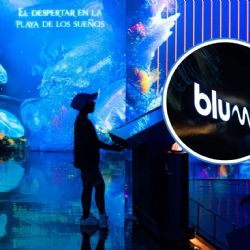Así es Blumia, experiencia inmersiva y sensorial para visitar en Plaza Acuario del puerto de Veracruz