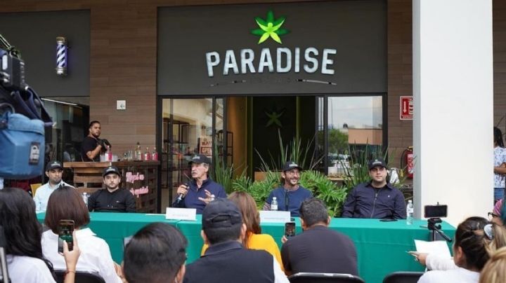 Cannabis, el nuevo oro verde: producir en México cuesta 10 veces menos que en EU