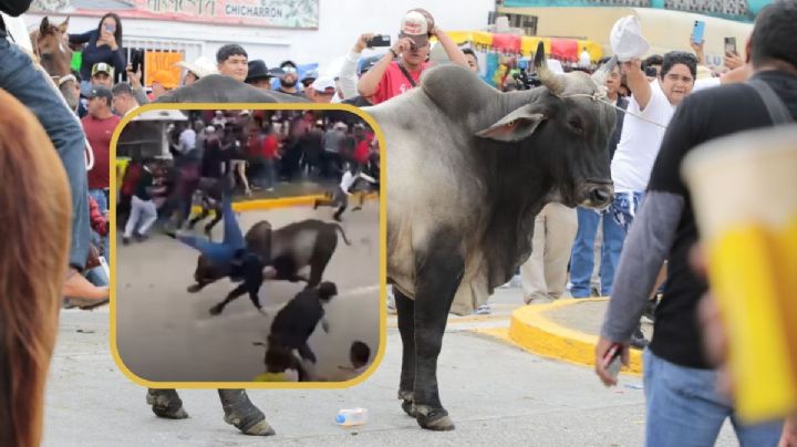 Reportan 2 lesionados por toros, en Fiestas de la Candelaria 2025