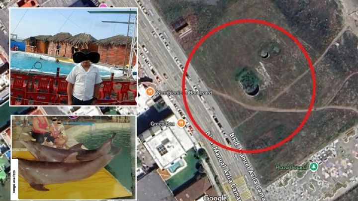 ¿Lo sabías? Así era el show de delfines a la orilla del mar en Boca del Río