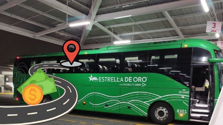 ¿Nuevos autobuses de Xalapa a Acapulco desde CAXA? Esto sabemos