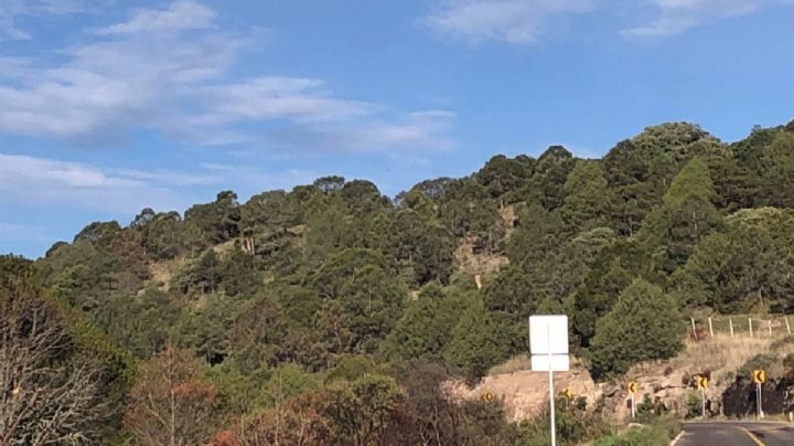 ¿Quiénes son los dueños de la Sierra de Lobos?