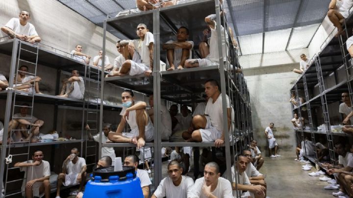 El Salvador: la situación actual de las pandillas bajo el gobierno de Bukele