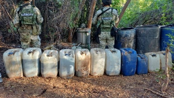 Decomisan más de 11 millones de pesos en drogas