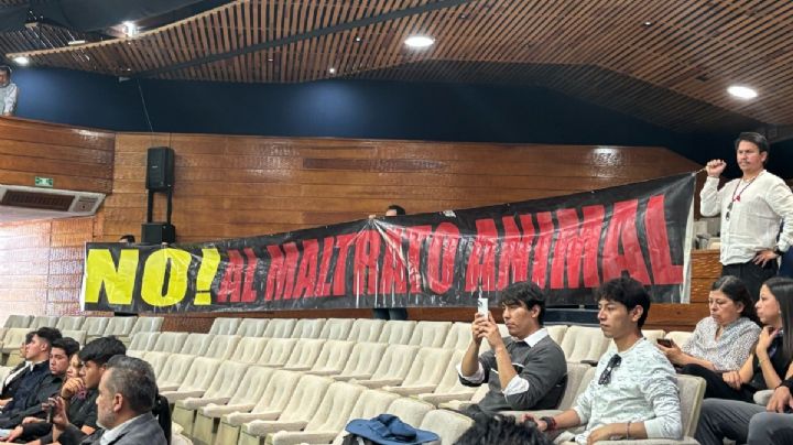 Presentan iniciativa para prohibir corridas de toros en Hidalgo