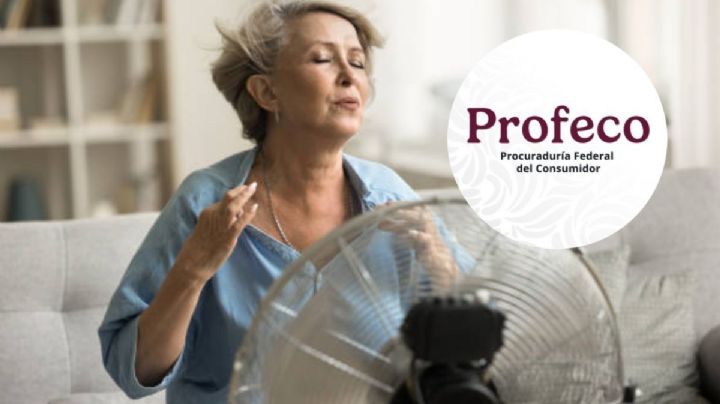 Semana Santa 2025: Estos son los 3 mejores ventiladores que puedes comprar en Veracruz, según Profeco