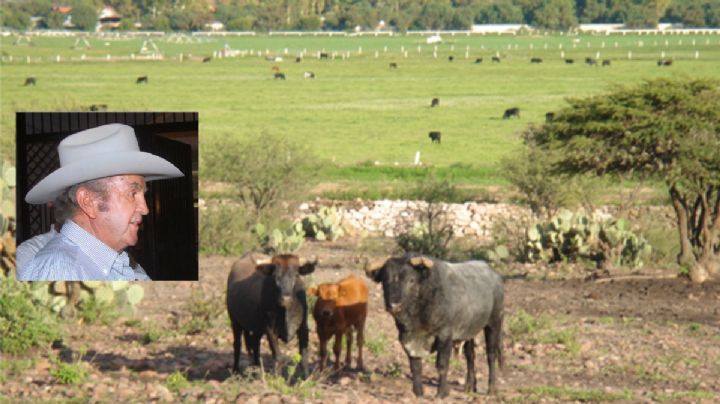 La ex Hacienda en Guanajuato de los Baillères: Cuna de toros de lidia