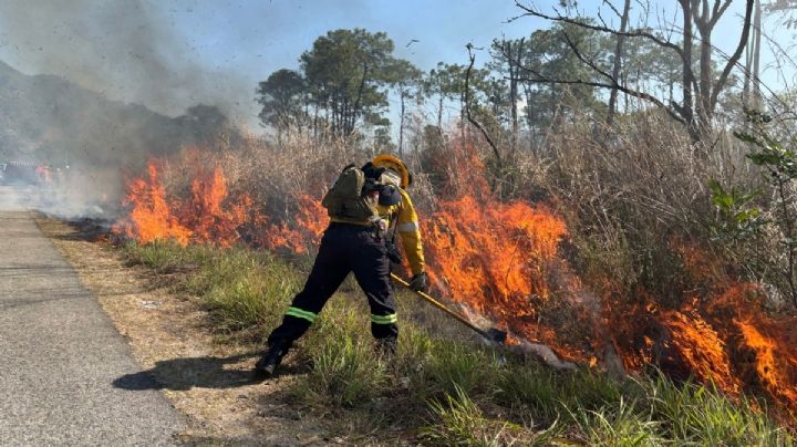 Incendios forestales en Hidalgo: crecen en marzo y encienden alertas