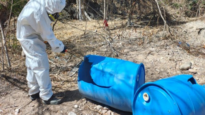 Operación Frontera evita ganancias de 449 mdp a grupos criminales