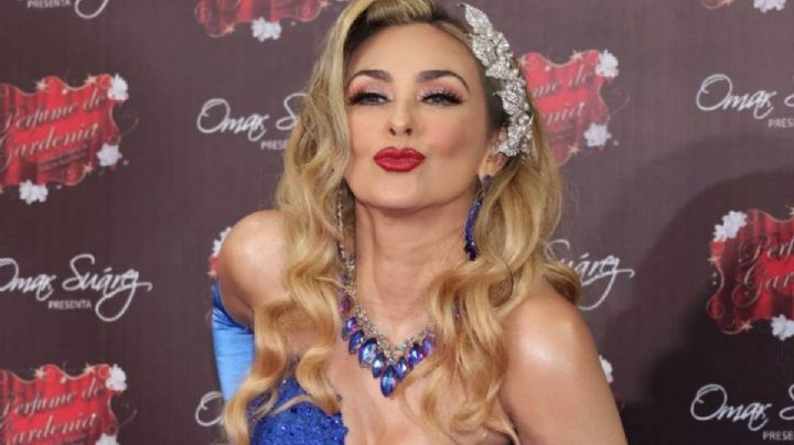 Famoso sorprende a Aracely Arámbula en su cumpleaños 50 con arreglo de mil rosas