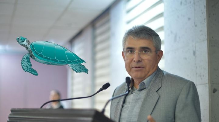 Plantea diputado reforzar protección de la fauna marina en el litoral veracruzano