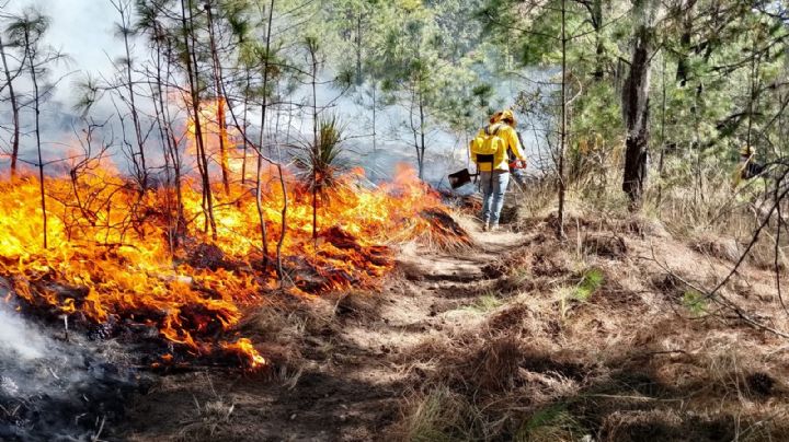 ¿Dónde están los más de 100 incendios que podrían arruinar la Semana Santa a los turistas?
