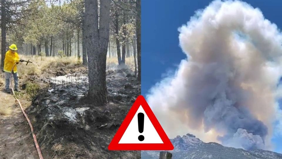 Incendio en Cofre de Perote; así es el combate del fuego