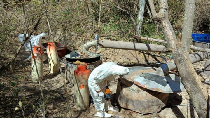 Operativo Frontera: 2 mil detenidos y pérdidas millonarias a grupos criminales