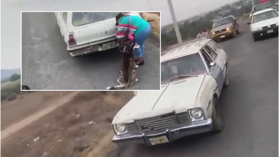 Los ocupantes del vehículo se dieron a la fuga