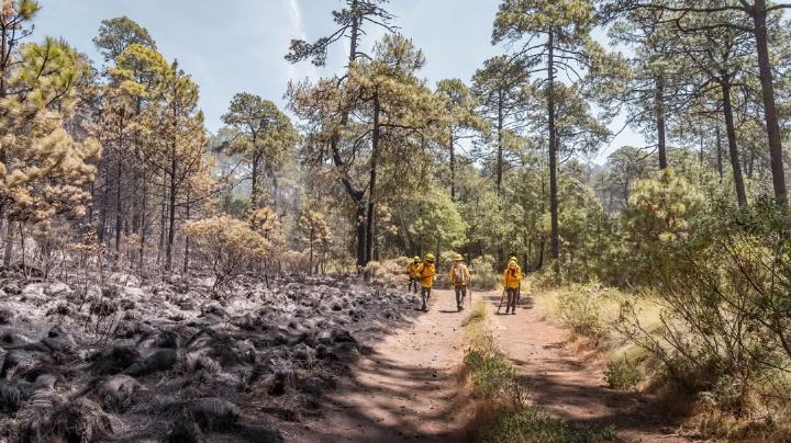 ¿Qué zonas de Tepoztlán estarán cerradas tras los incendios? Esto dice el alcalde