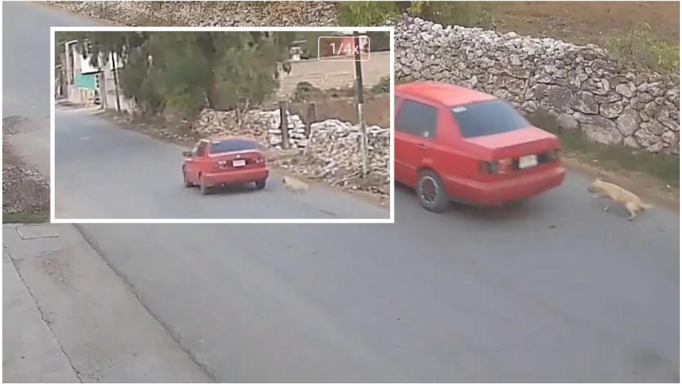 El probable responsable iba en un vehículo Jetta de modelo atrasado