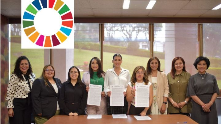 Avala Comisión de Seguimiento a la Agenda 2030 su Programa Anual de Trabajo