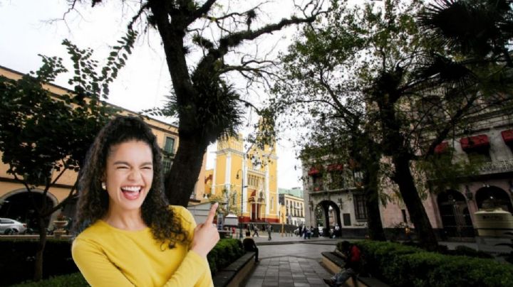 ¿Quién es el dueño del Parque Juárez en Veracruz?