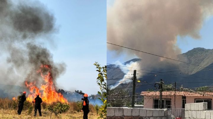 En estos municipios de Veracruz hay 3 incendios forestales activos: Conafor