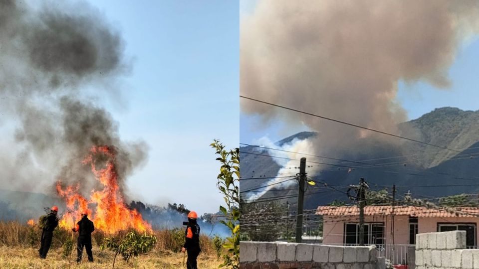 En estos 3 municipios de Veracruz hay incendios forestales activos