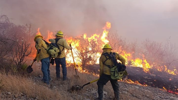 ¿Cómo van los incendios forestales en Puebla? Estas son las cifras que preocupan