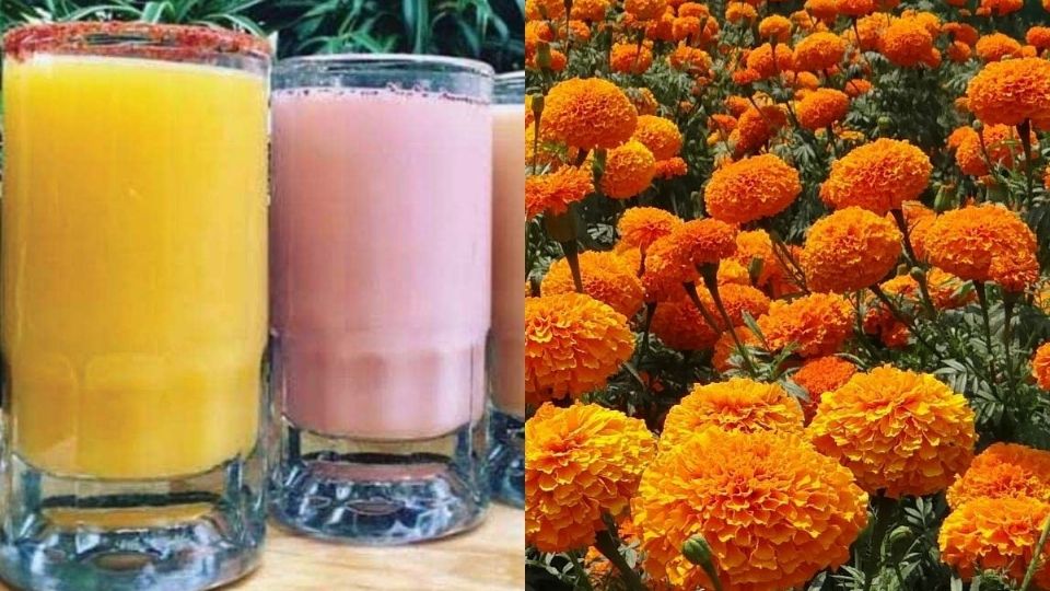 La pulquería de CDMX creadora del curado de cempasúchil