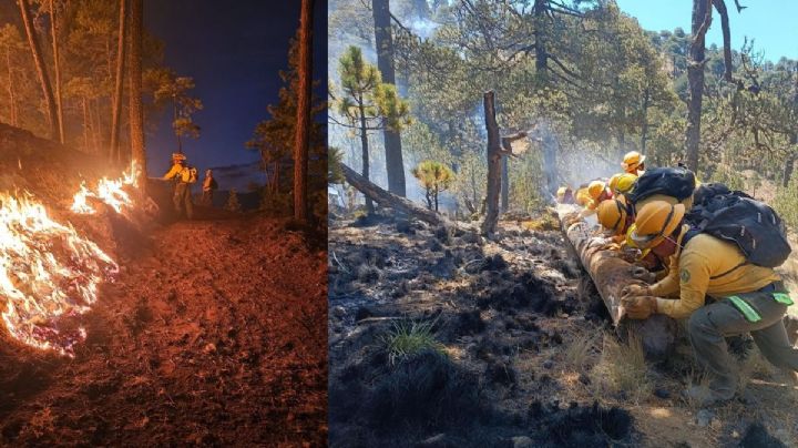 Así van los incendios forestales en Veracruz; 5 activos en estos municipios