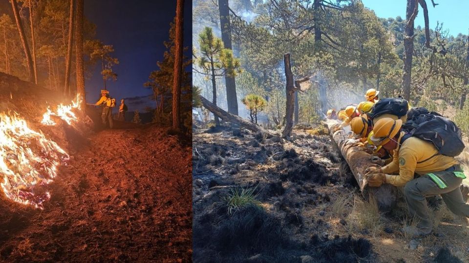 Así van los incendios forestales en Veracruz; 5 activos en estos municipios