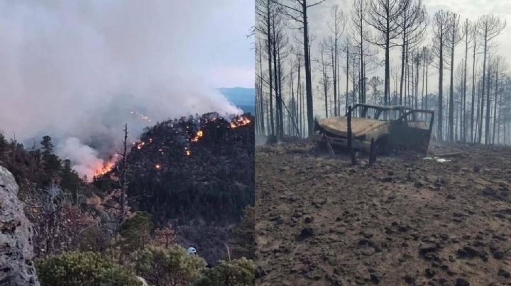 Incendios forestales en Chihuahua: sequía, abandono y un combatiente muerto