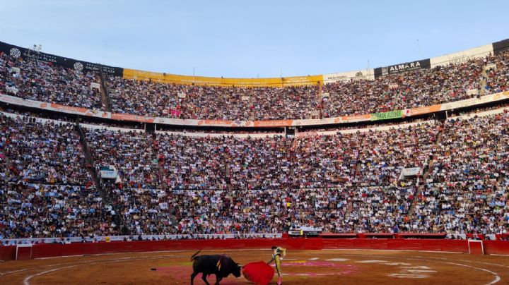 Justicia niega suspensión a la ley que prohíbe corridas de toros con violencia en CDMX