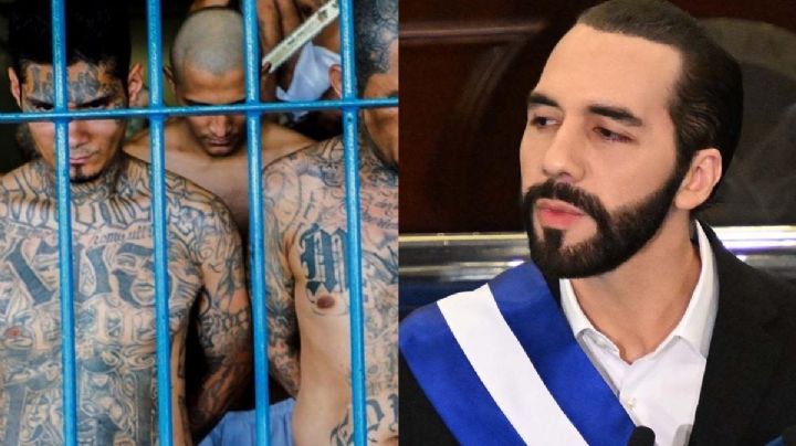 Pandilleros de El Salvador revelan pactos con Bukele