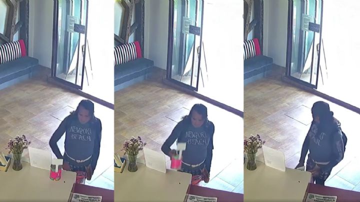 Roban alcancía llena en Pachuca; era para esterilizar perritos y gatitos | VIDEO