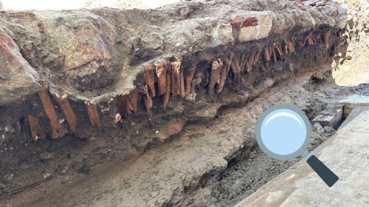 INAH confirma hallazgo de huesos, cerámica y otros vestigios en el Centro Histórico de Veracruz