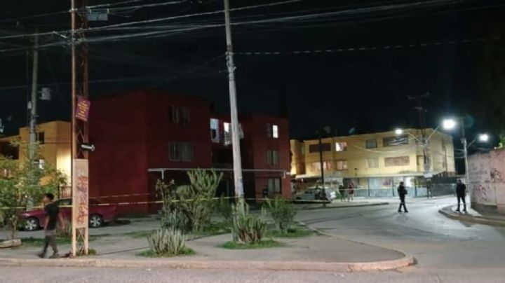 Viernes 13: Sicarios matan a dos perros en la Buenos Aires