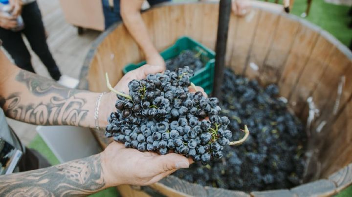 Vino y glamour: esta temporada puedes ir a 15 fiestas fantásticas en Guanajuato