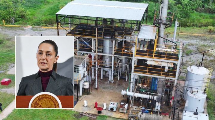 Esto dijo Sheinbaum sobre refinería clandestina desmantelada al sur de Veracruz