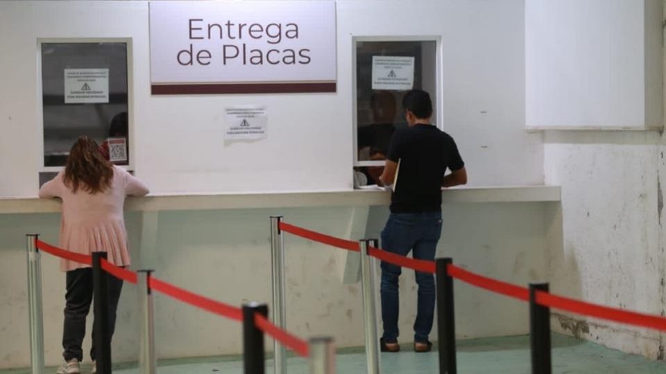 Fue lanzado un programa especial para los afectados