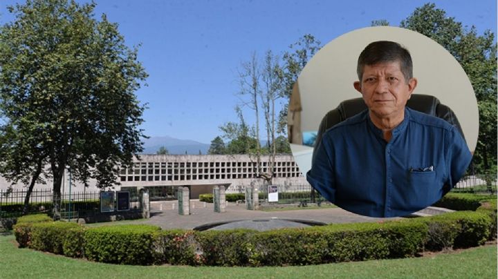 Museos, guardianes de la identidad cultural